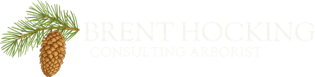 Brent Hocking Consulting Arborist